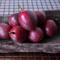2 High Yield Passion Fruit Plants Live, Deep Purple Climbing Passion Vine Tree Live Plant for Outdoor Growing, 5-9" in Tall, Fast Growing Perennial Sweet and Edible Fruits