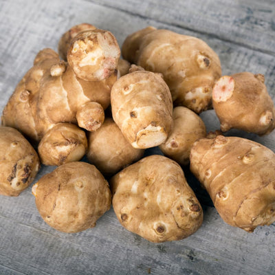 5 Jerusalem Artichoke Live Tubers, Sunchoke Bulbs for Planting Gardening Indoor Outdoor