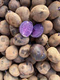 Mix Color Seed Potatoes for Planting Outdoors, 2 Pound Heirloom Potatoes, Heirloom Easy to Plant