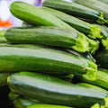 4 Green Squash Zucchini Plants Seedlings, Live Squash Plants from 6 to 8 Inches Tall, 4 Inches Pot