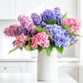 Blue Hydrangea Flower Live Plant, Cold Hardy Flowering Shrub, 1-1.5 Ft Tall