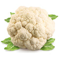 Cauliflower Plant in 4" Pot, Vegetable Cauliflower Live Plant Potted for Planting (White Cauliflower)