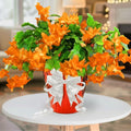 Thanksgiving Cactus Plants Live in 4" Pot, Holiday Christmas Cactus, Colorful Indoor Houseplant, Zygocactus Like, Ready to Bloom (Light Orange or Salmon)
