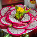 Set of 3 Dragon Fruit Cuttings, White Dragon Fruit Plants from 10 to 12 Inches Tall, Dragon Fruit Live Plants, Live Dragon Fruit Plant for Garden, No Roots