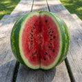 2PPP Sweet Watermelon Live Vine Plant, Watermelon Fruit Plant Live 4-7" Tall in 4" Pot, Red Sweet Fruit, Fast Growing Outdoor Garden Plant
