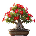 Desert Rose Plant Live, Red Adenium Desert Rose Plant, 5 to 7 Inches Long, Cactus Succulent Plant Perennial Flowering