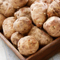1/2 Lb Jerusalem Artichoke Tubers for Planting, High Yield Sunchoke Rhizomes Bulbs for Planting, Cold Hardy Gardening Indoor Outdoor