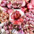 1 Lb Garlic Bulbs for Planting, Hardneck Garlic for Garden or Raised Beds, High-Yield Fresh Hardy Garlic Cloves