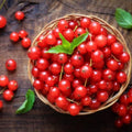 Currant Plant Live for Planting, Red Curant Bush Live Plant 5-9 Inch Height, Curant Berry Fruit Tree