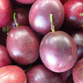 2 High Yield Passion Fruit Plants Live, Deep Purple Climbing Passion Vine Tree Live Plant for Outdoor Growing, 5-9" in Tall, Fast Growing Perennial Sweet and Edible Fruits