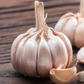 1 Pound Hard Neck Garlic for Planting in Fall, White Garlic Bulb for Planting, Fresh and High Yield, Cold Hardy, Planting Softneck Hardneck