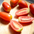 Long Red Tomato Plants Live for Planting, Live Tomato Plant in Pot, Well Rooted, Sweet Tomatoes for Edible Garden