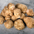 1 LB Jerusalem Artichoke Tubers for Planting, Sunchoke Rhizomes Bulbs for Planting, Cold Hardy Gardening Indoor Outdoor
