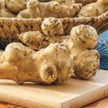 5 Large Jerusalem Artichokes Tubers for Planting, Fresh Sunchokes Sunroots, Hardy Edible Perennial Roots for Outdoor Vegetable Garden