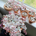 Variegated String of Hearts Plant Live, Trailing Succulent Plants 2.5 Inch Pot, Succulent Houseplants for Indoor Planting