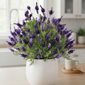 3 Lavender Plants Live Starter Plants 1-3" in Tall, Hardy Perennial Lavender for Garden and Landscape with Fragrant Purple Blooms, No Pot (Light Blue)