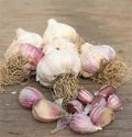 Garlic Bulbs for Planting, Pack 4 Bulbs for Growing Outdoors, Fresh Heirloom Garlic Bulbs