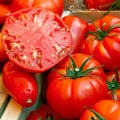 2 Beefsteak Tomato Plants, 6-8 Inc Tall, Live Tomato Plants for Planting
