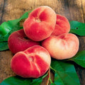 Donut Peach Live Plant, Outdoor Garden Fruit Tree, 1-2 Ft Tall