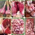 1/2 LB Red Garlic Bulbs for Planting in Fall, High Yield Hardneck Garlic Cloves Seeds, Fresh, Cold Hardy and Fast Growing, Various Varieties