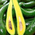 2-3Ft Large Avocado Tree Fruit Live Plant, Grafted Long Neck Avocados Trees Plants in 3 Gallon Pot, Tree Plant, 24-36 Inches in Tall