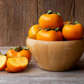 Persimmon Tree Seedling, Fruit Tree, 1-2 Ft Tall