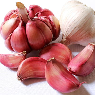 1 Pound Hard Neck Garlic for Planting in Fall, Red Garlic Bulb for Planting, Fresh and High Yield, Cold Hardy, Planting Softneck Hardneck