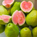Sweet Pink Guava Trees Live Plants, 7 Months Old Seedlings Well Rooted for Growing, 5-10 Inc in Tall in 4 Inc Pot