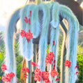 Monkey Tail Cactus Live Succulent, Hanging Trailing Cactus Plant 5-7 Inch Bareroot, No Pot Included