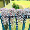 Ceropegia Woodii Variegated String of Hearts Live Plant, Rare Succulent Houseplant Indoor Home Decoration
