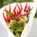 Long Thin Red Pepper Plant Live in 2.5 Inch Pot for Planting Outdoor
