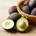 HASS Avocado Plant Live 6-10” Tall, Avocado Seedling Well-Rooted, Tropical Plant for Growing