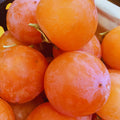 2 American Persimmon Tree Live Plant Bare Roots, Cold Hardy Fruit Plant Seedlings, Zone 4 to 9