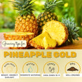 Set of 2 Pineapple Live Plant, Pineapple Gold Fruit Tree Plant, Sweet Fruit, 4-7 Inches Tall for Growing