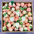 White Carolina Pineberry Plants 10 Roots Bareroot Pineapple Strawberry Flavor, Delicious