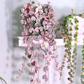 Ceropegia Woodii Variegated String of Hearts Plant Live, Trailing Succulent Vine, Rare Live Indoor Plant in Pot