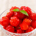 02 Surinam Cherry Trees Live Plants for Outdoor Spring Planting, 4-7" in Tall, Edible, Sweet, High Yielding Fruit Tree Fast-Growing
