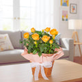 Mini Rose Bush Live Plant in 3.5'' Pot, Miniature Rose Plant Live, 3-5'' Tall, Mini Rose Plant, Live Flower Plant for Office and Home Decoration (Orange)