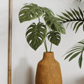 Monstera Plant 4-6 Inch, Live Indoor Plant, Split Leaf Houseplant for Home Office Decoration, No Pot (Deliciosa Monstera)