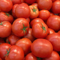 Big Tomato Cherry Live Plant in 4 Inch Pot, Red Tomato Plants Live 8-10 Inch Tall, Vegetable Plant for Planting Outdoor Indoor