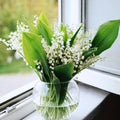 10 Lily of The Valley Flower Bulbs, Fragrant White Lily Flowers Bulbs, Lilies of The Valley Bulbs Perennial for Planting Outdoors