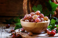 Gooseberry Plant Live for Planting, Gooseberry Tree Edible Berries Starter Plant, Gooseberry Fruits Shrub 5-9 Inc Tall