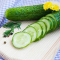 Live Marketmore Cucumber Plant, 4-6" Tall