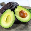 Avocado Tree Live Plant, Live Avocado Plant Seedling, 4 Inc Potted, Fruit Gardening Outdoor