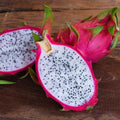 3 Dragon Fruit Cuttings, White Dragon Fruit Plants Live from 10 to 12 Inches Long, Dragon Fruit Live Plants