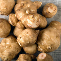 8 Oz Jerusalem Artichoke Tubers for Planting, High Yield Sunchoke Rhizomes Bulbs for Planting, Cold Hardy Gardening Indoor Outdoor
