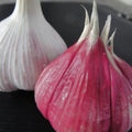 1 Pound Hard Neck Garlic for Planting in Fall, Red Chesnok Garlic Bulb for Planting, Fresh and High Yield, Cold Hardy, Planting Softneck Hardneck
