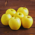 Golden Apple Tree Plant Live, Landscape Fruit Tree, 2-3 Ft Tall
