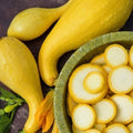 3 Squash Plants Live, Yellow Squash Plant, 4 to 6 Inc Tall Vegetable Plant Pot Starter Plant