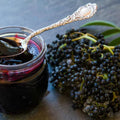 Sweet Elderberry Plant Live Tree 1 Year Old, Perennial Fruiting Shrub, 6-10" in Tall, Spring Planting Outdoor